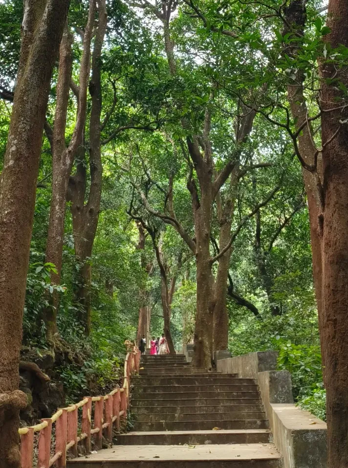 Saptasajya forest stairs